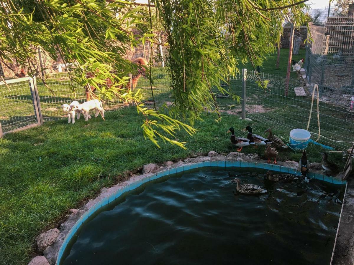 Assos Alis Farm Boutique Hotel & Spa Ngoại thất bức ảnh