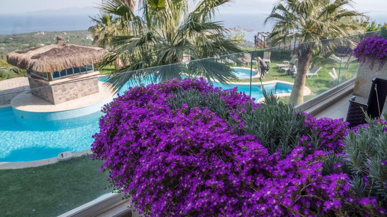 Assos Alis Farm Boutique Hotel & Spa Ngoại thất bức ảnh