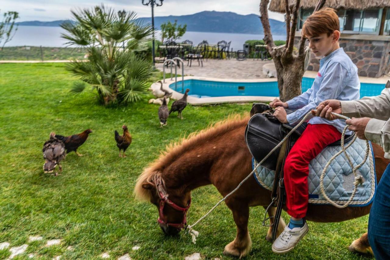 Assos Alis Farm Boutique Hotel & Spa Ngoại thất bức ảnh