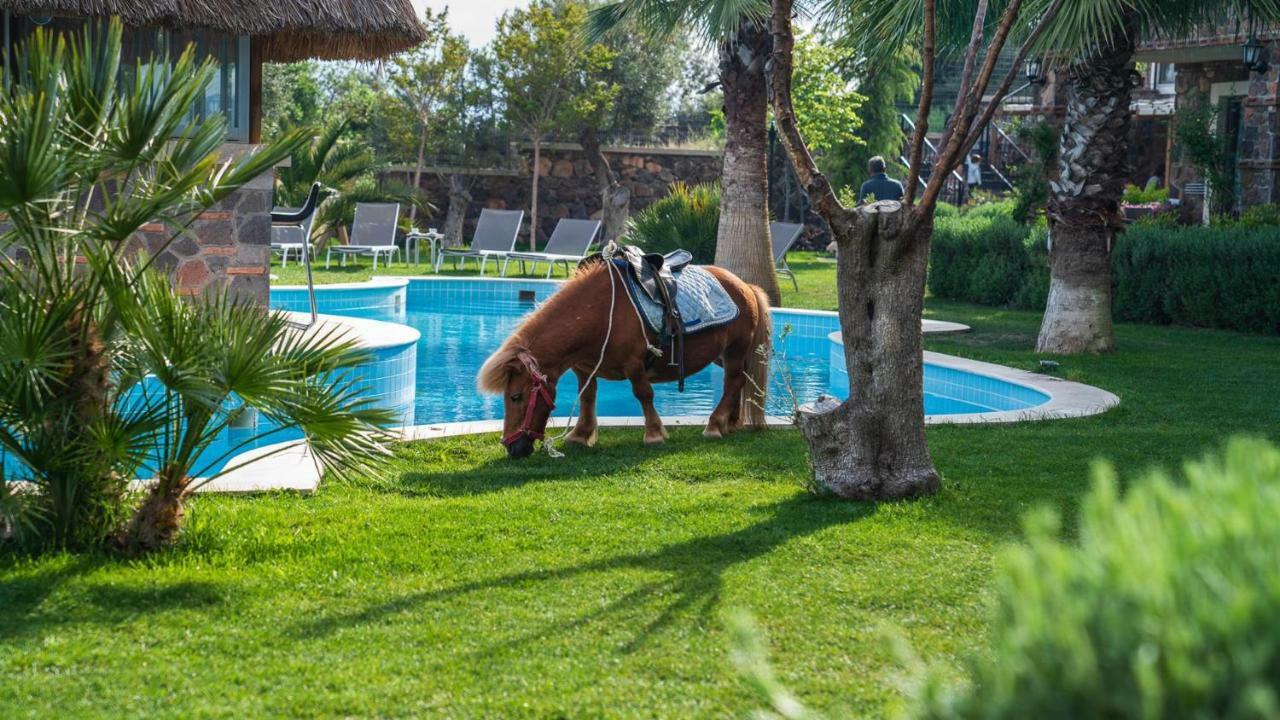 Assos Alis Farm Boutique Hotel & Spa Ngoại thất bức ảnh