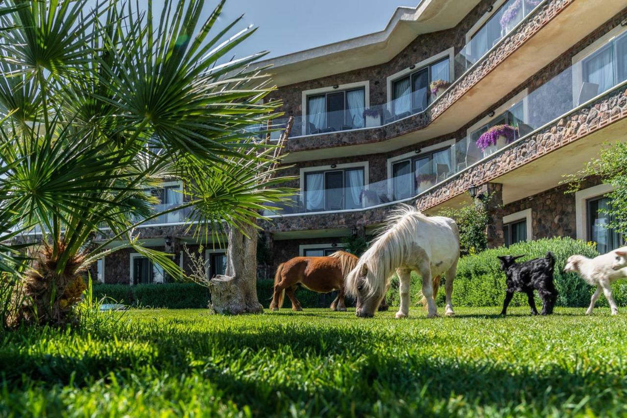 Assos Alis Farm Boutique Hotel & Spa Ngoại thất bức ảnh