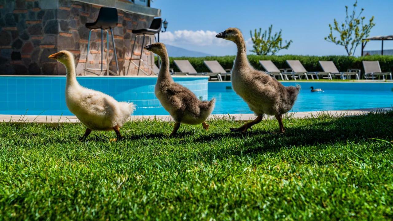Assos Alis Farm Boutique Hotel & Spa Ngoại thất bức ảnh