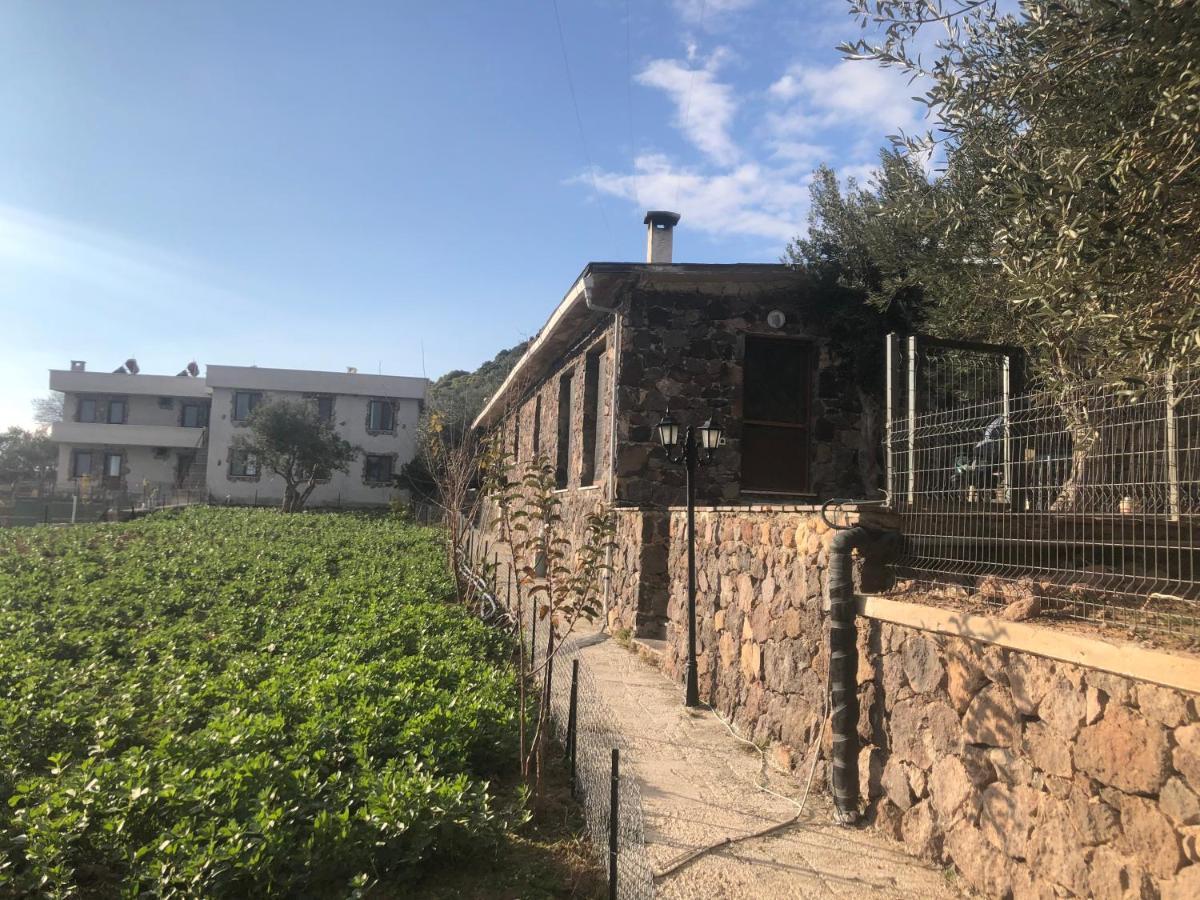 Assos Alis Farm Boutique Hotel & Spa Ngoại thất bức ảnh